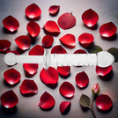 SZKLANE DILDO POCHWOWO-ANALNE PAŁKA PENIS ZE SZKŁA PLUG DO PIESZCZOT